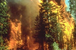 Wildfire_in_California 400W